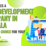 What Makes a Web Development Company in Ambala the Right Choice for You?